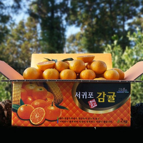 추황배